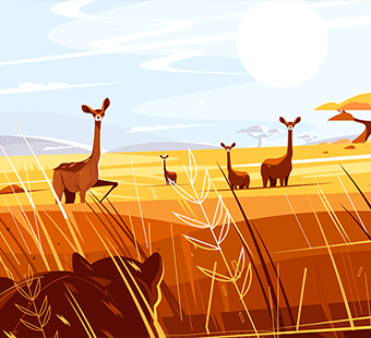 Illustration project 3